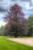 Schloss Favorite HDR-Galerie - favorit4