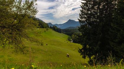 kaernten Galerie - a 46