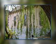 Goerlitz Galerie Teil 6 - goerlitz 091