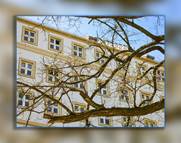 Goerlitz Galerie Teil 9 - goerlitz 131