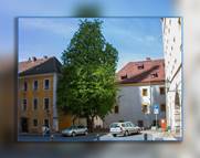 Goerlitz Galerie Teil 9 - goerlitz 136