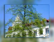 Goerlitz Galerie Teil 9 - goerlitz 143