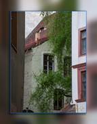 Goerlitz Galerie Teil 13 - goerlitz 194